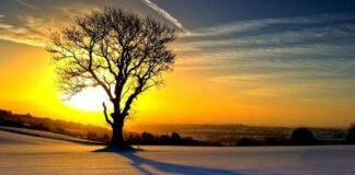 언제나 천만칸 집을 지을꼬(15)