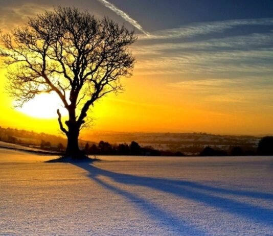 언제나 천만칸 집을 지을꼬(15)