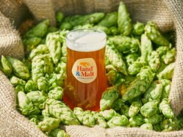 일 년에 딱 한 번! 지금맛볼 수 있는 상쾌한 홉의 풍미