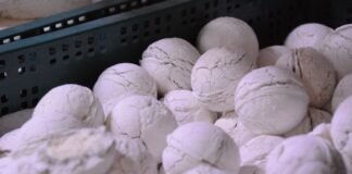 하절이화주(夏節梨花酒) 스토리텔링 및 술 빚는 법