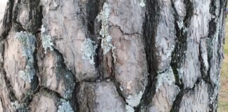 소소한 삶 소박한 바램