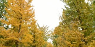 “고령 + 달서구 + 달성군 = 달리고” 여행