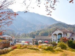 함양의 하미앙 와인밸리, 엑스포 관람객 대상으로 산머루 와인 프로모션