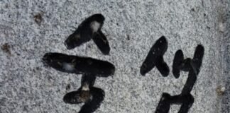 물이 술로 변하는 샘?