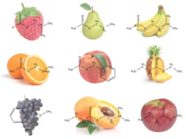 서울에서 작은 양조장 차리기(4)
