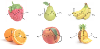 서울에서 작은 양조장 차리기(4)