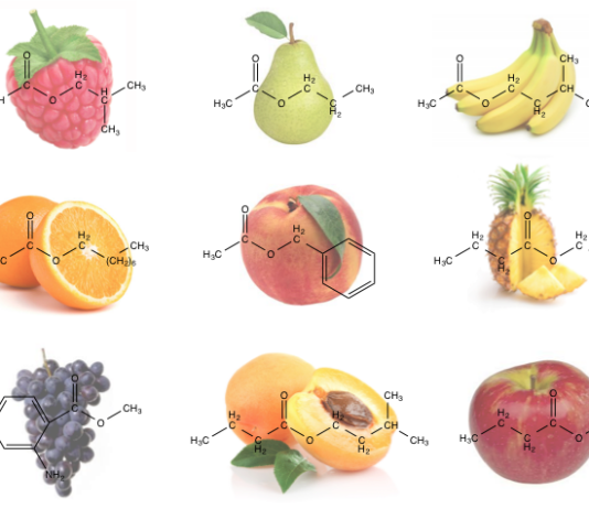 서울에서 작은 양조장 차리기(4)