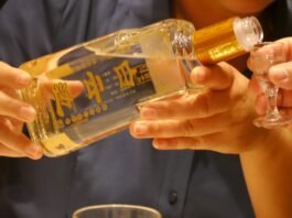 현실로부터의 도피처로서의 술