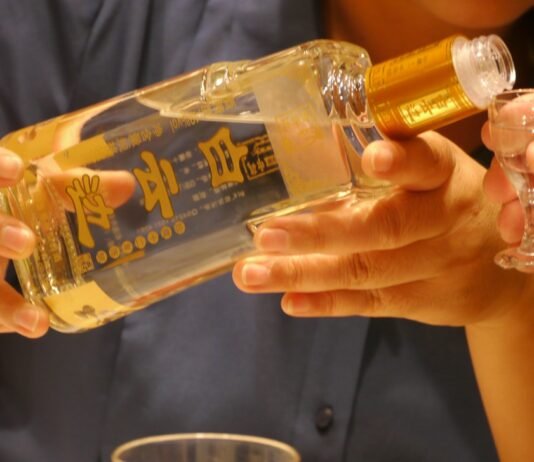 현실로부터의 도피처로서의 술