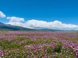 여행 수요 회복에 부쳐