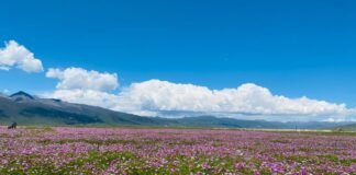 여행 수요 회복에 부쳐