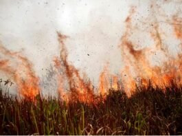 기후위기와 감염병 시대정신에 맞는 술 산업정책