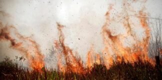 기후위기와 감염병 시대정신에 맞는 술 산업정책