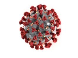 위드 코로나 시대, 꼭 기회일까