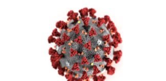 위드 코로나 시대, 꼭 기회일까