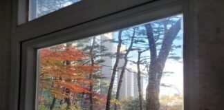 그래 술 아니고 달랠 길이 있겠는가?