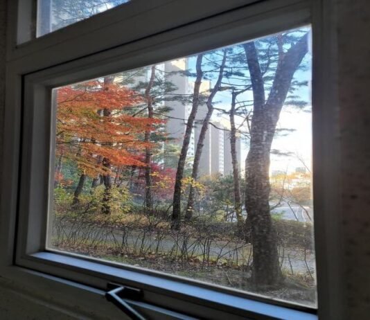 그래 술 아니고 달랠 길이 있겠는가?