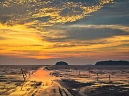 유네스코가 인정한 고창군 람사르갯벌센터, 겨울에도 좋아