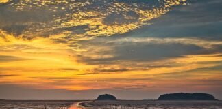 유네스코가 인정한 고창군 람사르갯벌센터, 겨울에도 좋아