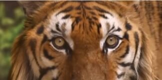 이 또한 지나가리라