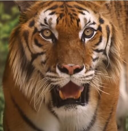 이 또한 지나가리라