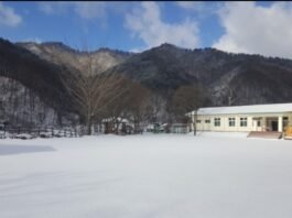 신비의 광물 일라이트로 즐기는 영동 웰니스 여행