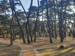 영주 소수서원에도 둘레길이?