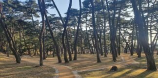 영주 소수서원에도 둘레길이?