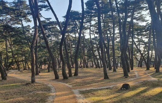 영주 소수서원에도 둘레길이?