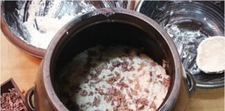 내 고향 술 두견주(杜鵑酒)를 그리며