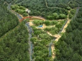 장수찾아 삼만리… 장수군 치유의 숲으로 가요