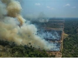 기후위기와 감염병 시대정신에 맞는 술 산업정책(Ⅳ)