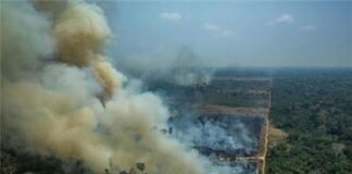 기후위기와 감염병 시대정신에 맞는 술 산업정책(Ⅳ)