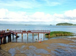 “불멍, 물멍, 뻘멍” 무안 황토갯벌랜드