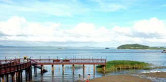 “불멍, 물멍, 뻘멍” 무안 황토갯벌랜드