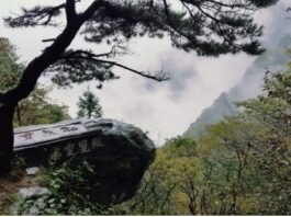 도연명에게 친구가 있을 때 항상 술이 있었다