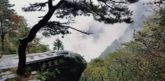 도연명에게 친구가 있을 때 항상 술이 있었다