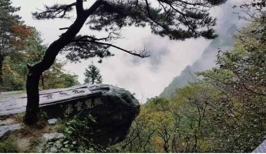 도연명에게 친구가 있을 때 항상 술이 있었다