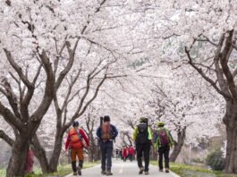 성큼 다가온 봄, 산행 ‘음주주의보’ 발령