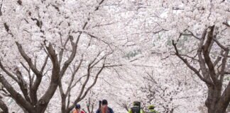 성큼 다가온 봄, 산행 ‘음주주의보’ 발령