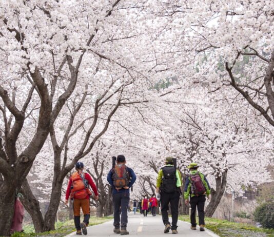 성큼 다가온 봄, 산행 ‘음주주의보’ 발령