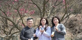 모싯잎을 머금은 옥순가 ‘마주소곡주’에선 백제의 향기가 난다