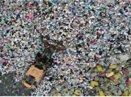 주류정책의 민주화와 산업발전을 위해