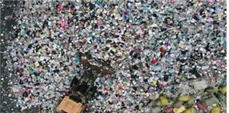 주류정책의 민주화와 산업발전을 위해