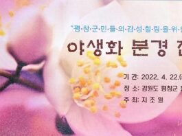 4월말에 즐기는 “강원도래요”