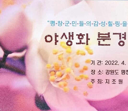 4월말에 즐기는 “강원도래요”