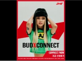 버드와이저, NFT 프로젝트 서포터즈 ‘버드 커넥터’ 모집