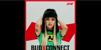 버드와이저, NFT 프로젝트 서포터즈 ‘버드 커넥터’ 모집