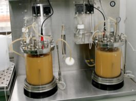 내 양조장만의 미생물을 가질 때이다