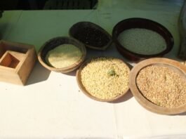 ‘만전향주(滿殿香酒)’ 스토리텔링 및 술 빚는 법